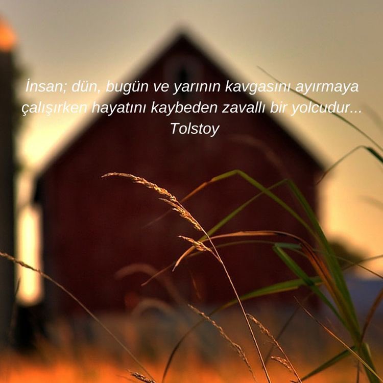 NGulara's tweet photo. “Ve güz geldi Ömür hanım... içimde bir çocuk, yalın ayak koşuyor yaşlılığa doğru, binlerce kez yenilmiş umut ölülerini çiğneyerek; ŞükrüErbaş https://t.co/dsaCN7OiYQ