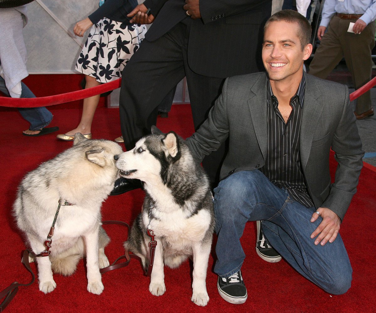enews's tweet photo. It's been six years since the world lost the light that was Paul Walker. Now, on what would be his 46th birthday, we’re taking a look back at his life in photos and aspiring for what his brother put as: "The life that Paul would want us to live." https://t.co/0GscyLO7Oi https://t.co/Ul6bMuvmYg