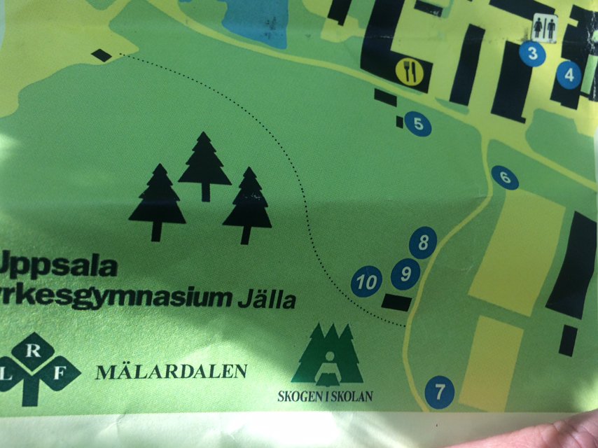SkogeniSkolan's tweet photo. Människan mår bra av att var ute i naturen! Gå Skogen i Skolans skogsslinga o lär dig mer om skog. Följ den streckade linjen på kartan.
#bis19 https://t.co/FI56e4wzK5