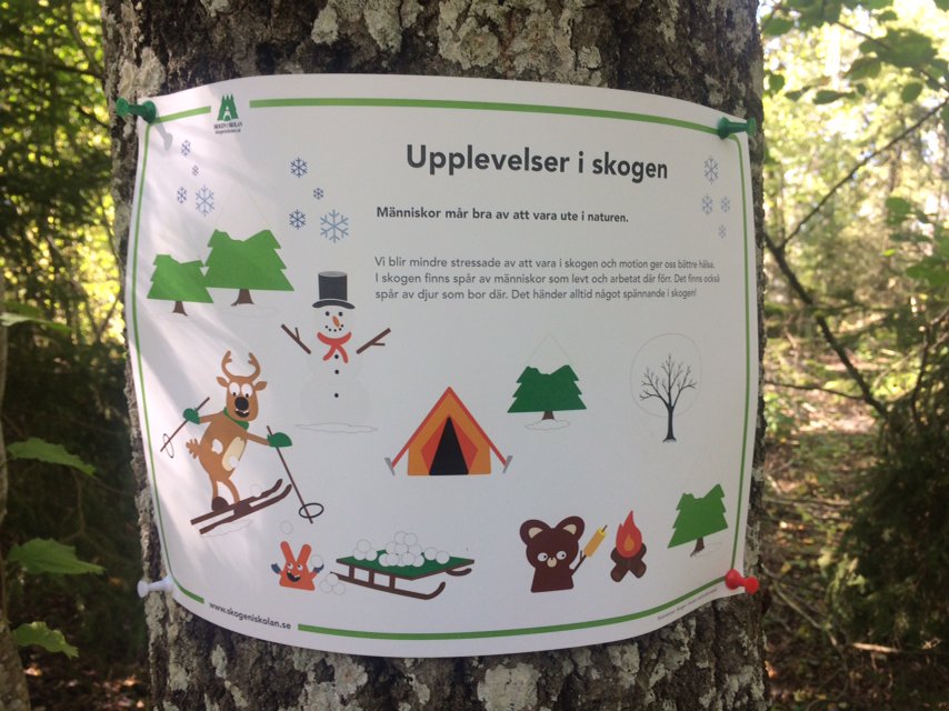 SkogeniSkolan's tweet photo. Människan mår bra av att var ute i naturen! Gå Skogen i Skolans skogsslinga o lär dig mer om skog. Följ den streckade linjen på kartan.
#bis19 https://t.co/FI56e4wzK5