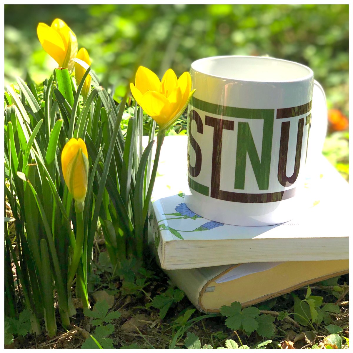 ChestNutFrance's tweet photo. Cahiers / Stylos : ✅ Soleil : ✅
Café : ✅✅
C’est la rentrée!🌳🌞🍀
Que l’aventure commence! 
 #ChestNut #LyonStartUp #LSU9 https://t.co/nRH8qfndOu