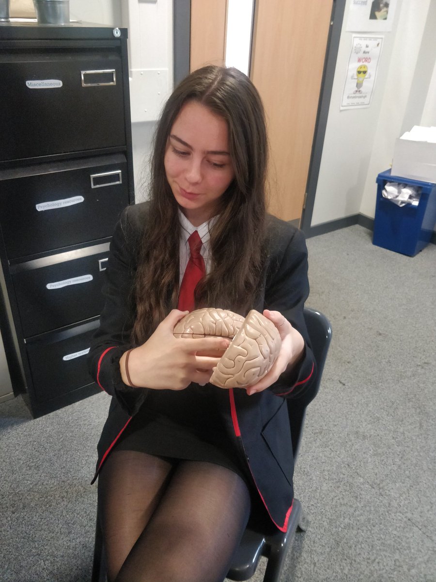 MrsRTeaching's tweet photo. Getting to know our brains in Mental Health Award with playdough, brain caps, diagrams and model quizzes #braincaps #sqamentalhealth #psychology https://t.co/E6jjfUiQyO