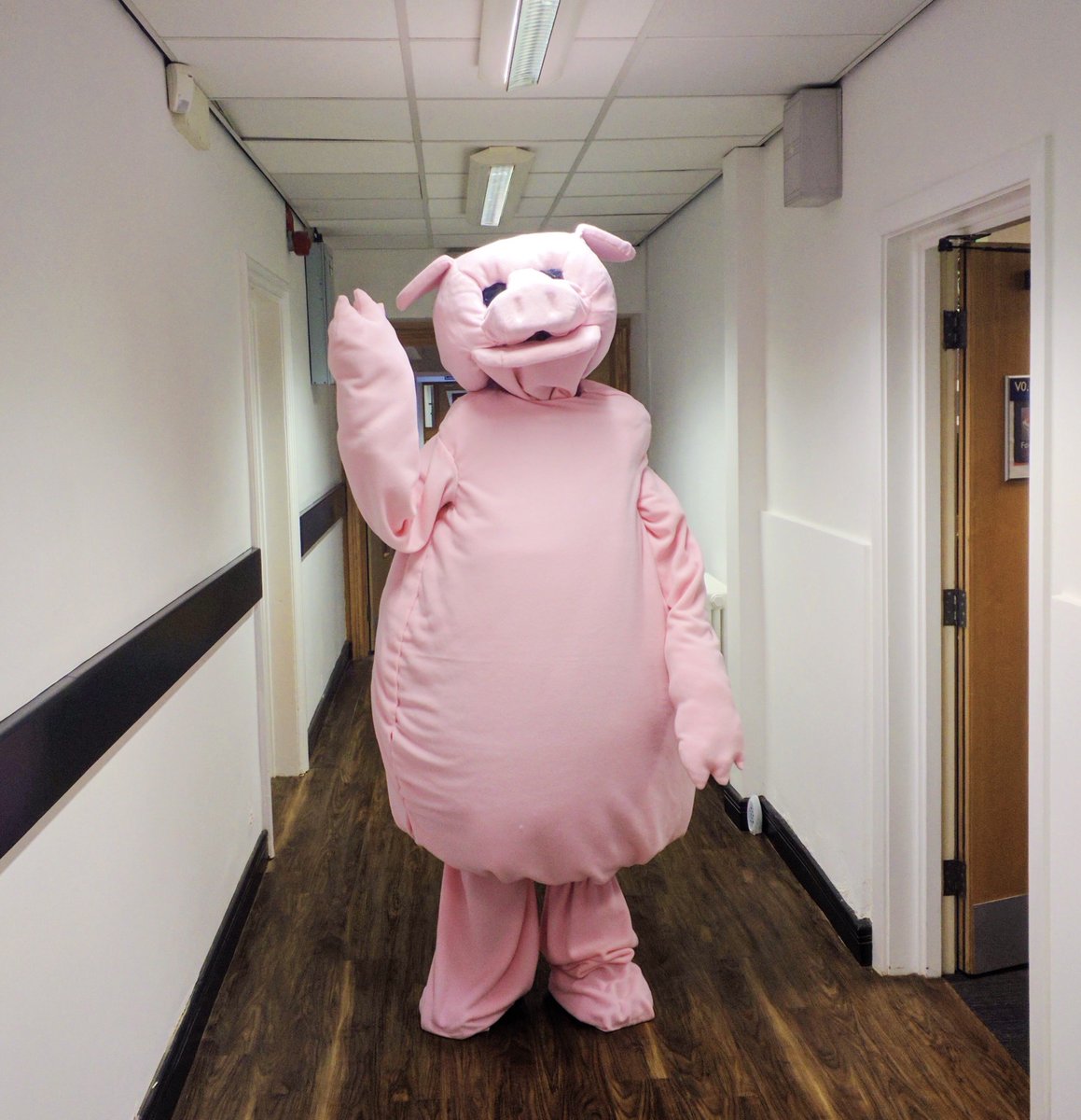 #ThrowbackThursday

It's been a whole year since we were graced with a 7ft mascot and life has just not been the same since.🐷

Find out more about us here: bit.ly/FoxbyteGames

#foxbytegames #beatyourmeat #indiegames