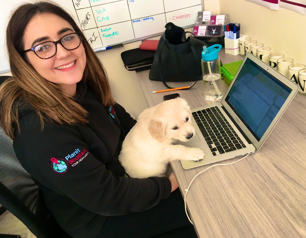 PlanitScotland's tweet photo. The paw-fect office helper! πΎ
One of the office pups wanted to give @CaitlinPlanit a helping paw to get through the many client to-do lists! All in a dayβs work for #TeamPlanit.
#FreelancePA #BusinessSupport https://t.co/Ib4k7BdVnI