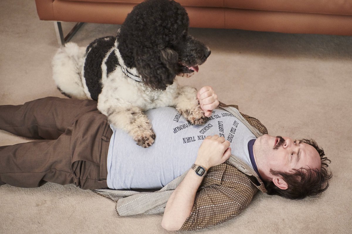 Cute dog and neighbour Steve.
#MyPetIn5Words
#CaptionThisPhoto
#Cuckoo