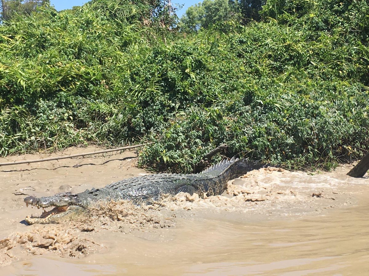 Rebel PT tweet media