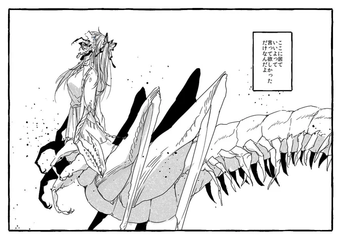 朝蜘 