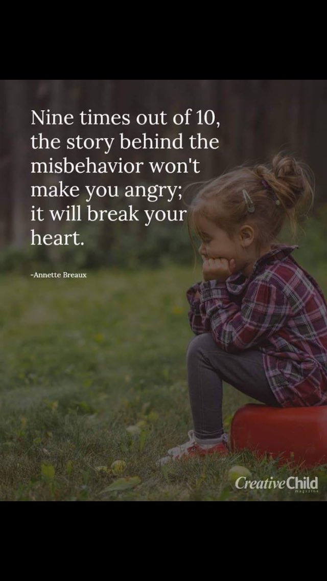 Krista Perry tweet media