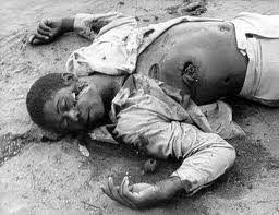 TafadzwaMugwadi's tweet photo. @PacheduZW @edmnangagwa This is virtually nothing &amp; untrue compared to the barbaric atrocities committed by yo father #DavidColtart &amp; #IanKay

It still disturbs tht yo lucifaric pink cplored father who notoriously led the attacks of innocent children @Chimoio &amp; Nyadzonya still enjoys our freedom. https://t.co/w3mz5Y7Cqj