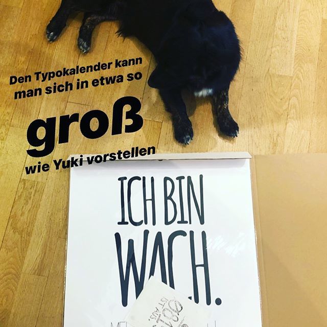 funiberlin's tweet photo. Zur besseren Vorstellung 😉 #typokalender #funismartart #2020 #onlineshop #kalender2020 #typografie #spaß https://t.co/GIcrGVuEPq https://t.co/042Trxu9Ap