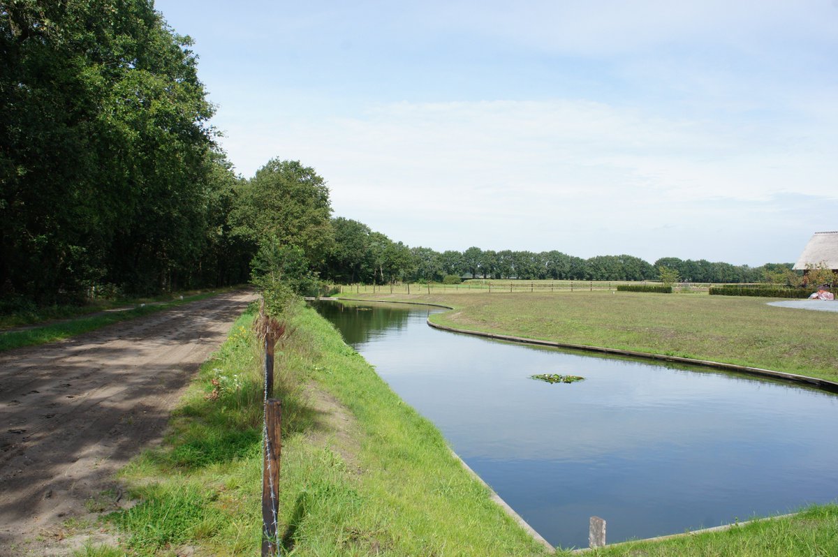 Project T&amp;F: Aanleg #siervijver #EPDM Folie
Bij de aanleg van een siervijver is gebruik gemaakt van een EPDM 1mm #vijverfolie. Deze is in het werk volledig op maat aangebracht inclusief #beschermvlies (#NW25).