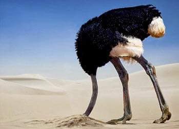 Stefan_de_J's tweet image. #humanities_2020