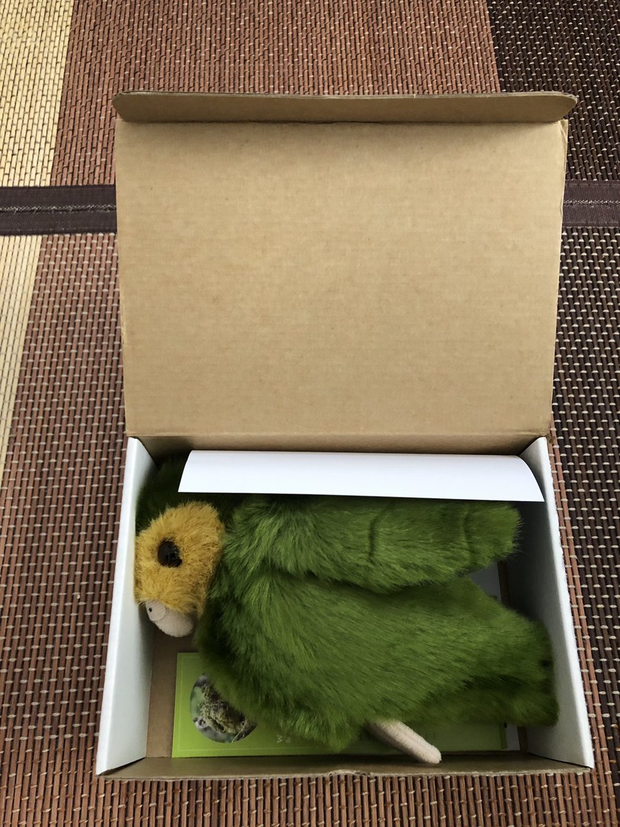 特大カカポぬいぐるみ（Kakapo Recovery 里親特典） 非売品 カカポ 寄付 特大 ぬいぐるみ ニュージーランド - メルカリ