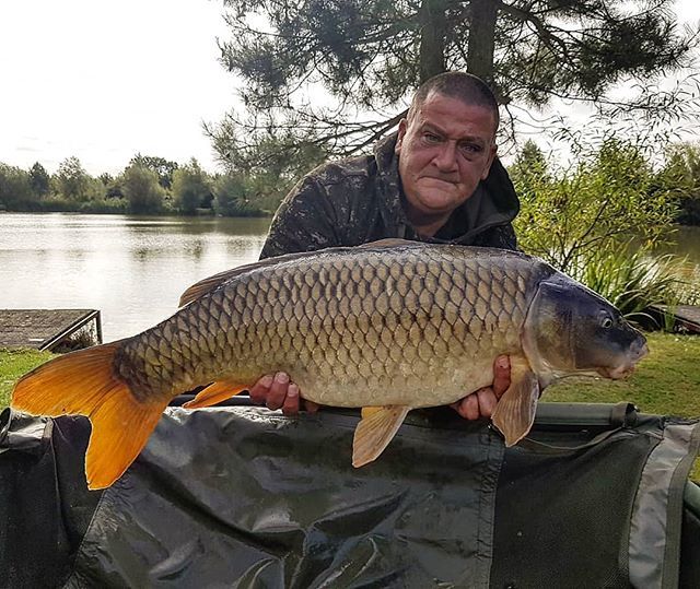 23.5lbs for Darren fishing peg 24 on the cell #commoncarp #carpfishing #carp #carplake #crowsheathfishery #carplife #fishing🐟 #fishing #fishing🎣 #fishingislife #fishinglife #fishinguk #dayticketfishing #dayticket #essex #cyprinuscarpio ift.tt/2Q4BNMt