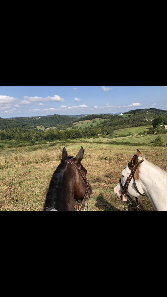 gUnoIT's tweet photo. #ranchstuff https://t.co/dZ47QUuVfj