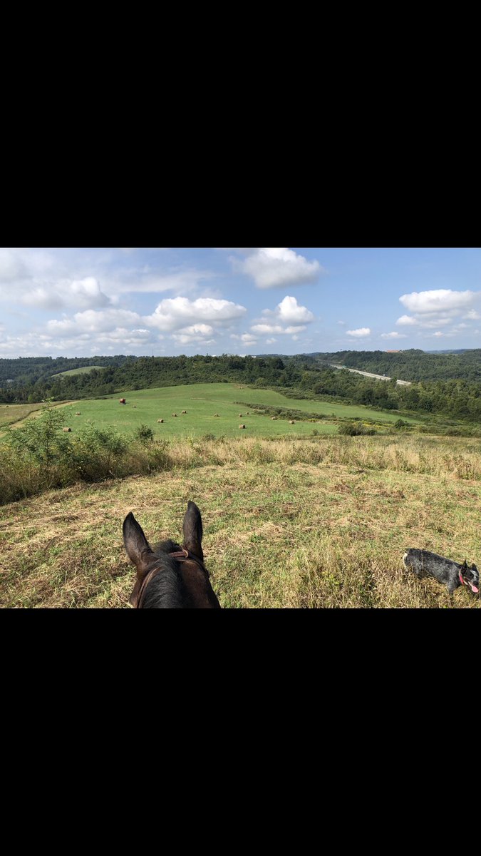 gUnoIT's tweet photo. #ranchstuff https://t.co/dZ47QUuVfj