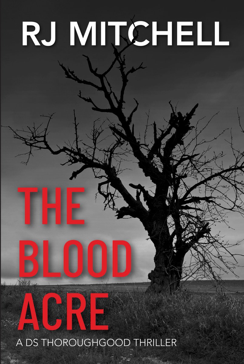 Matthew James Publishing 📕 tweet media