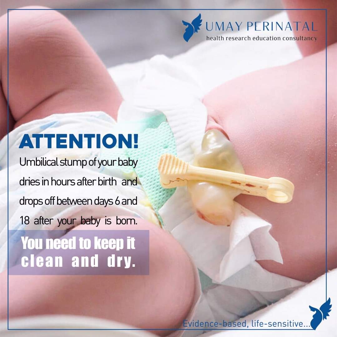 Umbilical stump of your baby dries in hours after birth and drops off between days 6 and 18 after your baby is born. You need to keep it clean and dry.

#umayperinatal #kadındoğum #yenidoğan #jinekoloji #perinatoloji #onlinesağlık #esağlık  #gobekbagi #göbekbağı