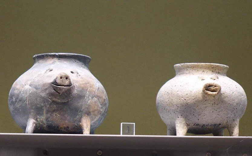 かわいいものを見せるね。新石器時代(約6000年前)に作られた豚さんの陶缶です。