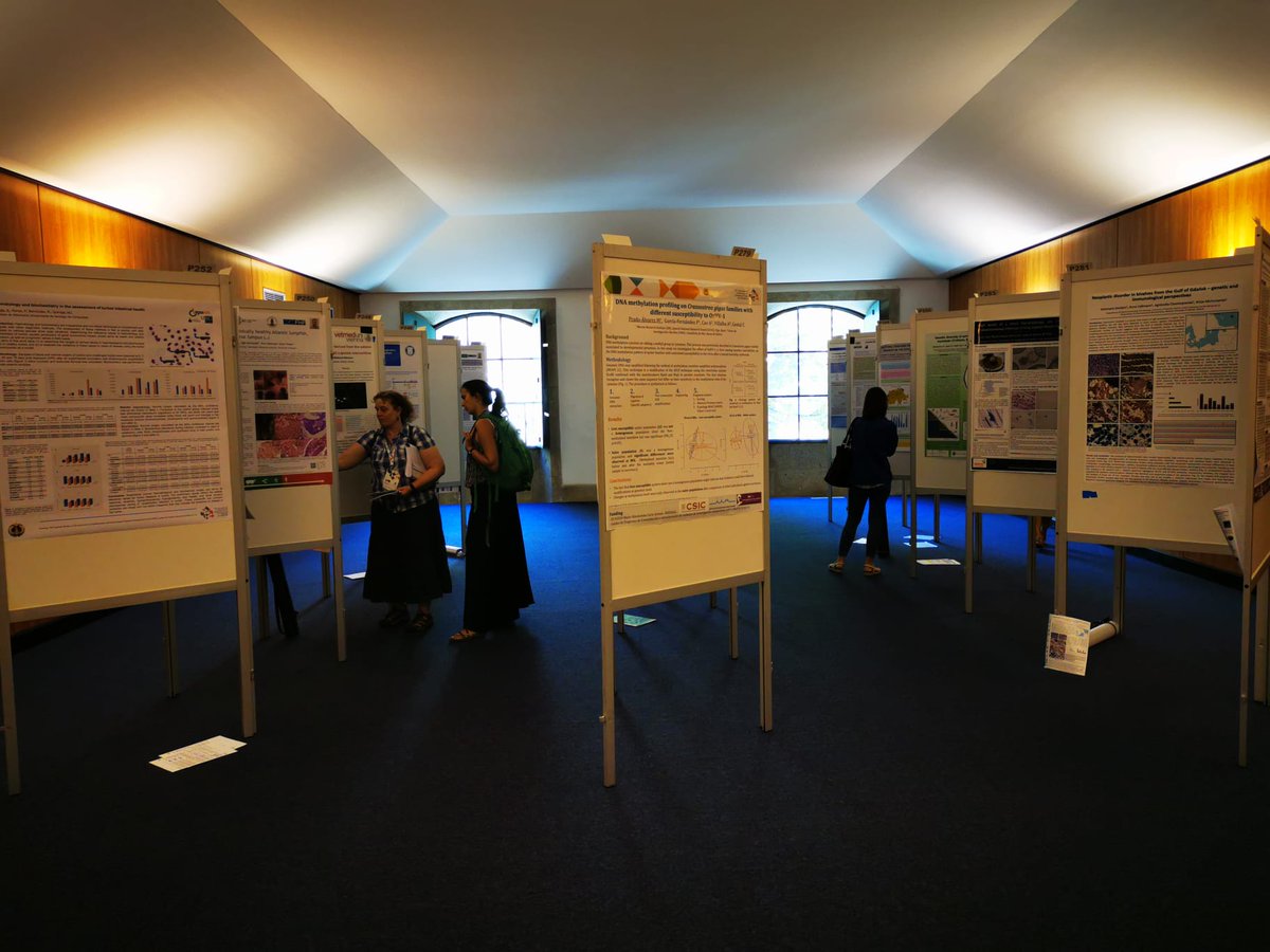 Have you seen the posters? They are waiting for you!!