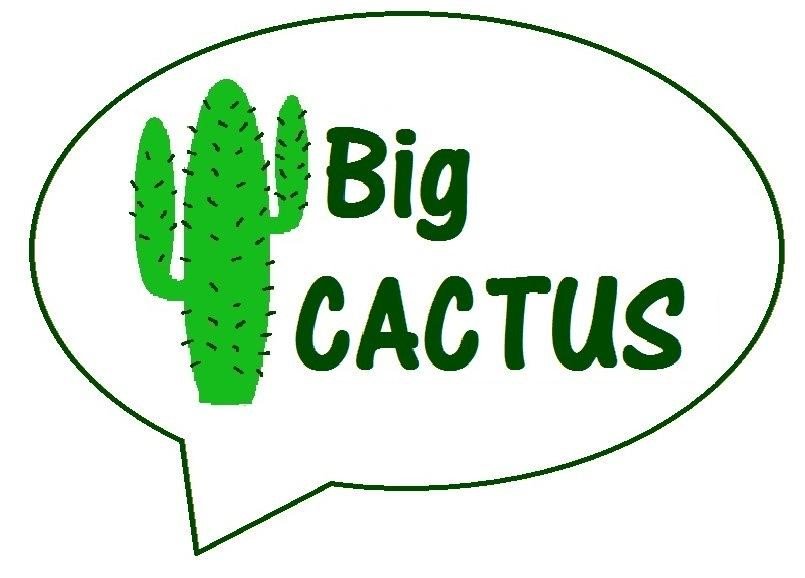 CATCHshef's tweet photo. Big CACTUS published in Lancet Neurology https://t.co/Z224Oz6y35 https://t.co/dPcbKxBnO9