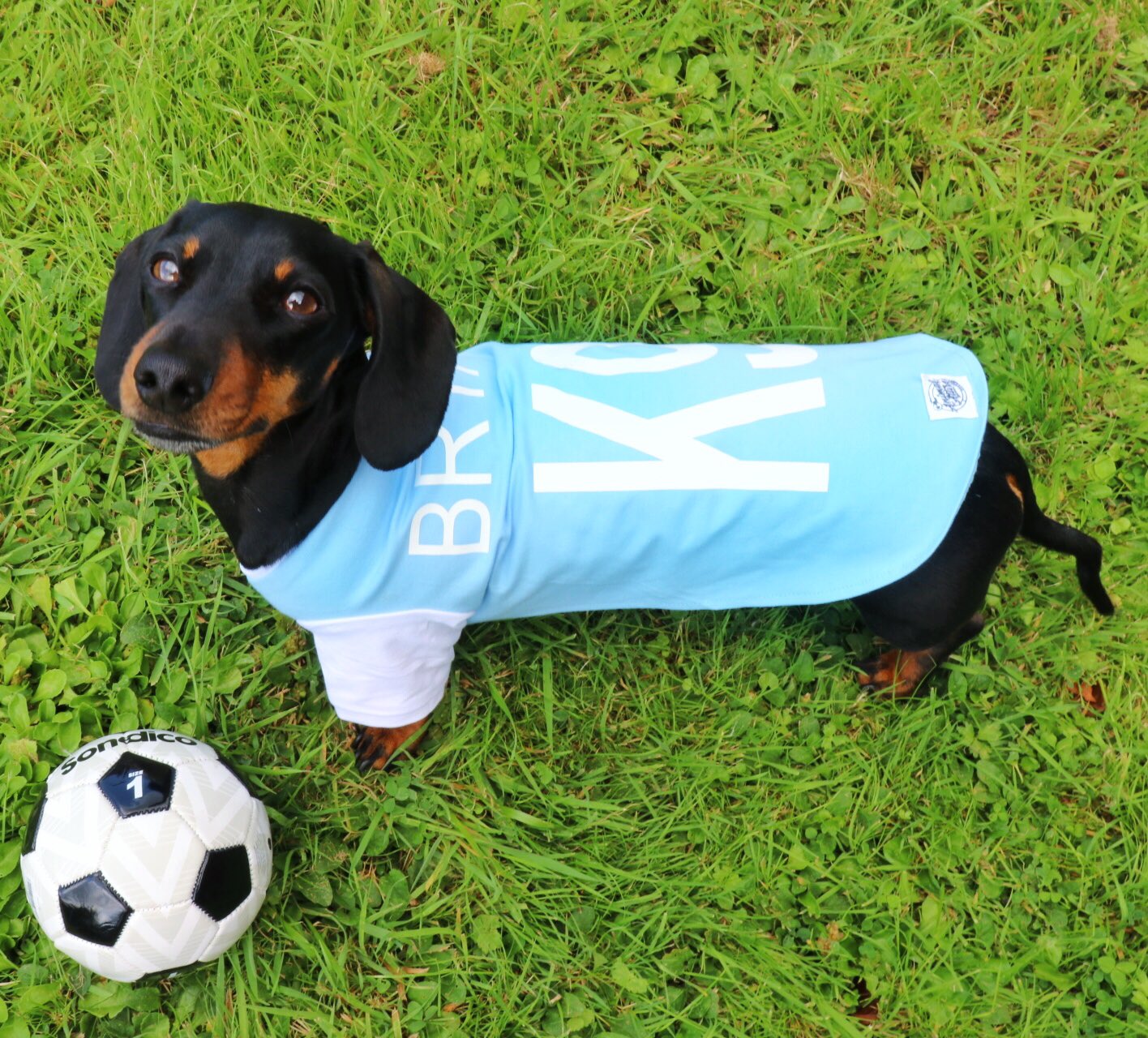 Personalised dog cheap football shirts