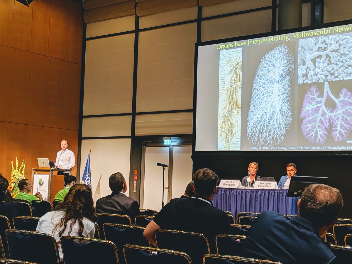 JelenaRnjak's tweet image. Jordan Miller @jmil on 3D printing vascularised tissues at @2019Esb. #vascularization #organoids  @RiceUniversity