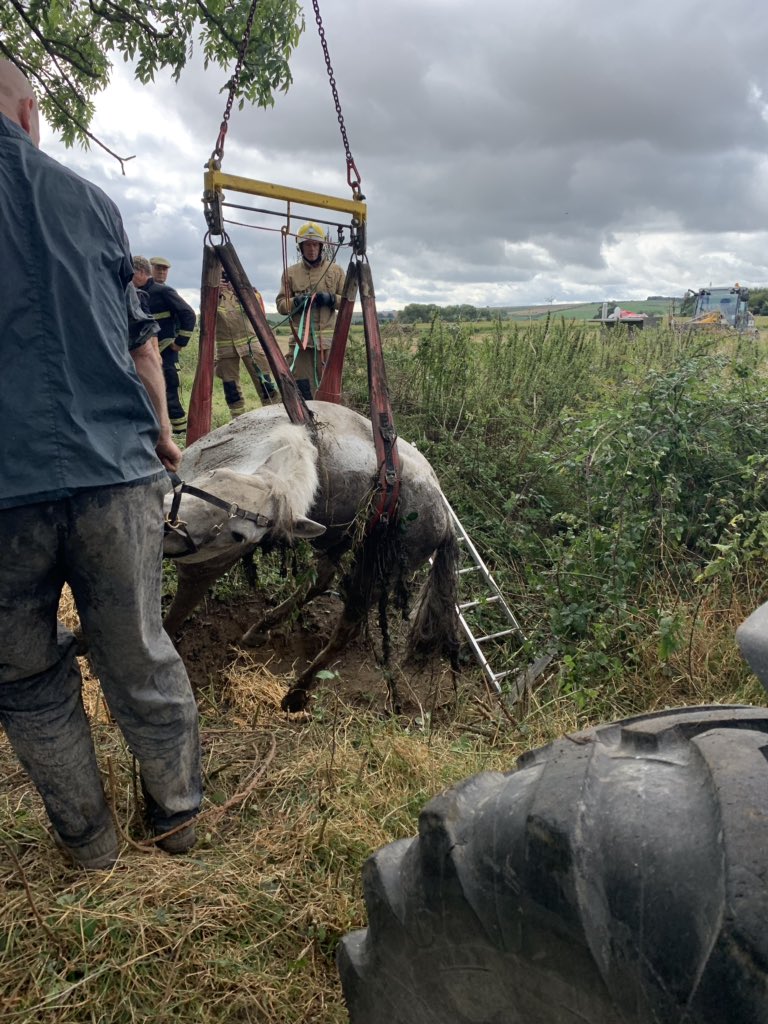 Green watch have had a busy morning. We’ve attended a lorry vs car RTC on the A46 this morning and we are now assisting our colleagues <a href="/devizesfirestn/">Devizes Fire Station</a> <a href="/DWFireControl/">DWFireControl</a> in an animal rescue #notjustfires #animalrescue