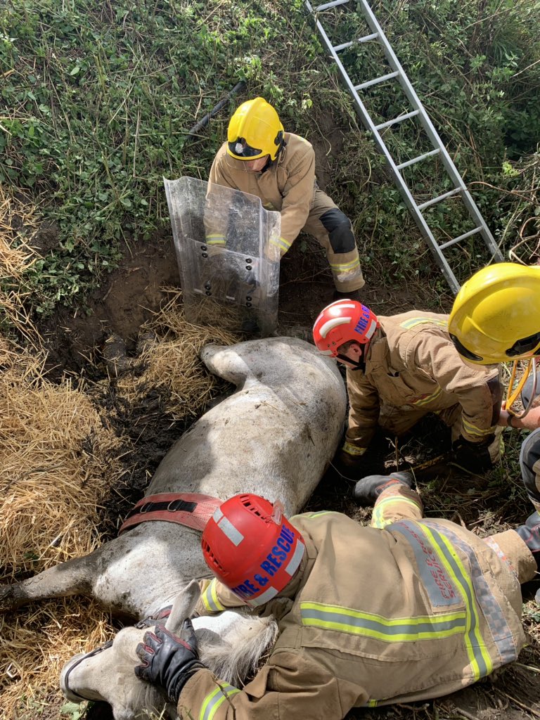 Avon Fire & Rescue Service in Bath and NES tweet media