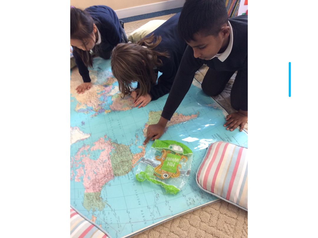 BanchoryPrimary's tweet image. Where does this come from?
#LearningDetectives