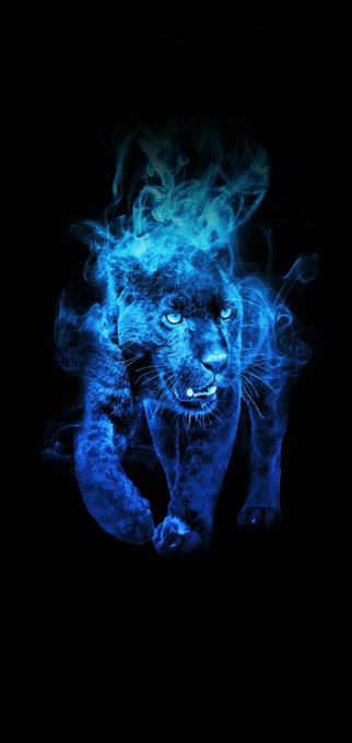 #justsayit  lion's heart is the best https://t.co/PFG1XeaYx9<a href="/tag/justsayit"class="tags">#justsayit</a>