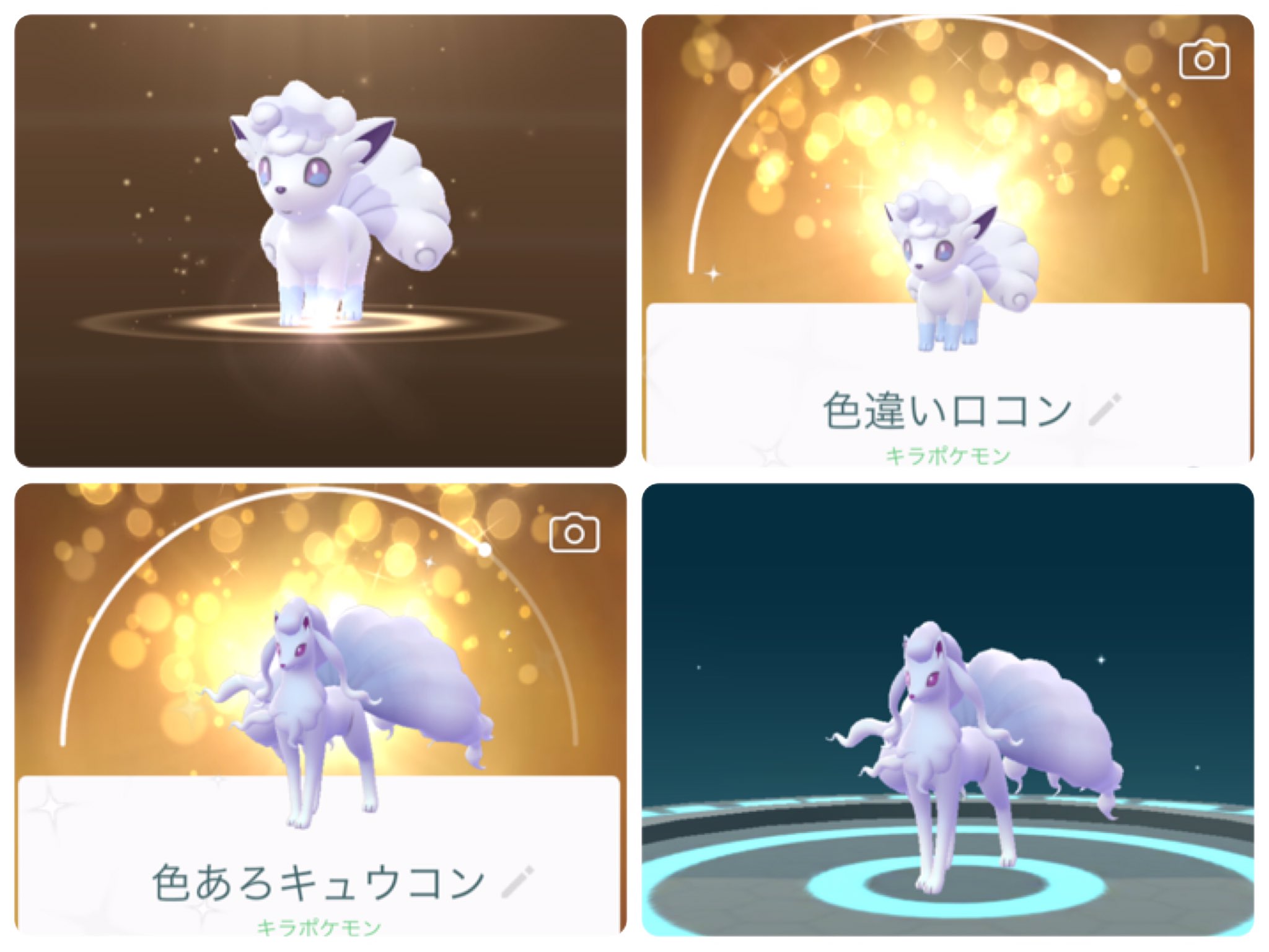 うずぴよ Ank0r0n Syarepooh いつもコメントありがとうございます 家族のところにロコン ちゃん生まれてたのですが 色が同じで最初気がつきませんでした 進化させると うっすら紫色でわかりやすくなりますね しゃれプーさんチームにも降臨しますよう