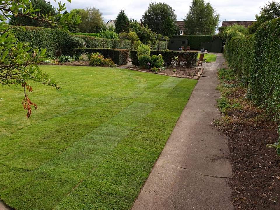 lawncaredoctor's tweet photo. From a flower bed to a bigger GREEN lush lawn 🌻🌷 ➡️ 🌱💚

#lawncaredoctors #lawncare #green #lawn #transformation #beforeandafter #leicestershire https://t.co/wdIea6vGHj