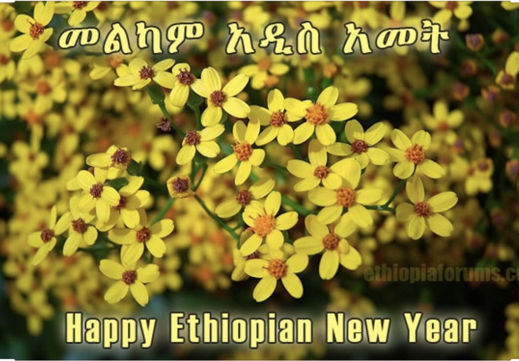 _ODUSEAD's tweet image. Happy Ethiopian New Years!🇪🇹💛