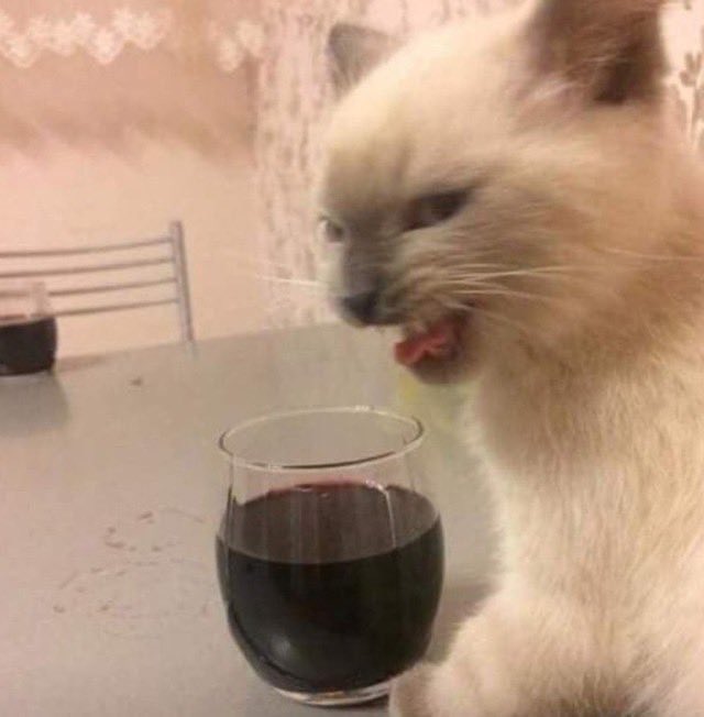 MessTireless's tweet image. All I’m good for is online shopping and starting drama please leave me alone