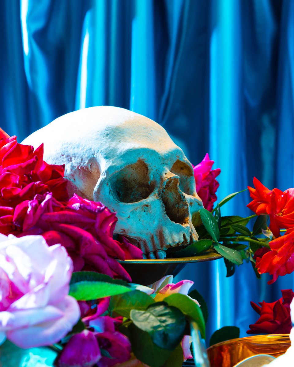 danbannino's tweet photo. Food
Flowers
and Death

These are the three key elements of the upcoming series. 
Curious to know more?
🍕💐💀 #stilllife #photography #skull #oldmaster #art #food #flowernails 
https://t.co/pIa5P8yl1I https://t.co/vR6Au1ax65