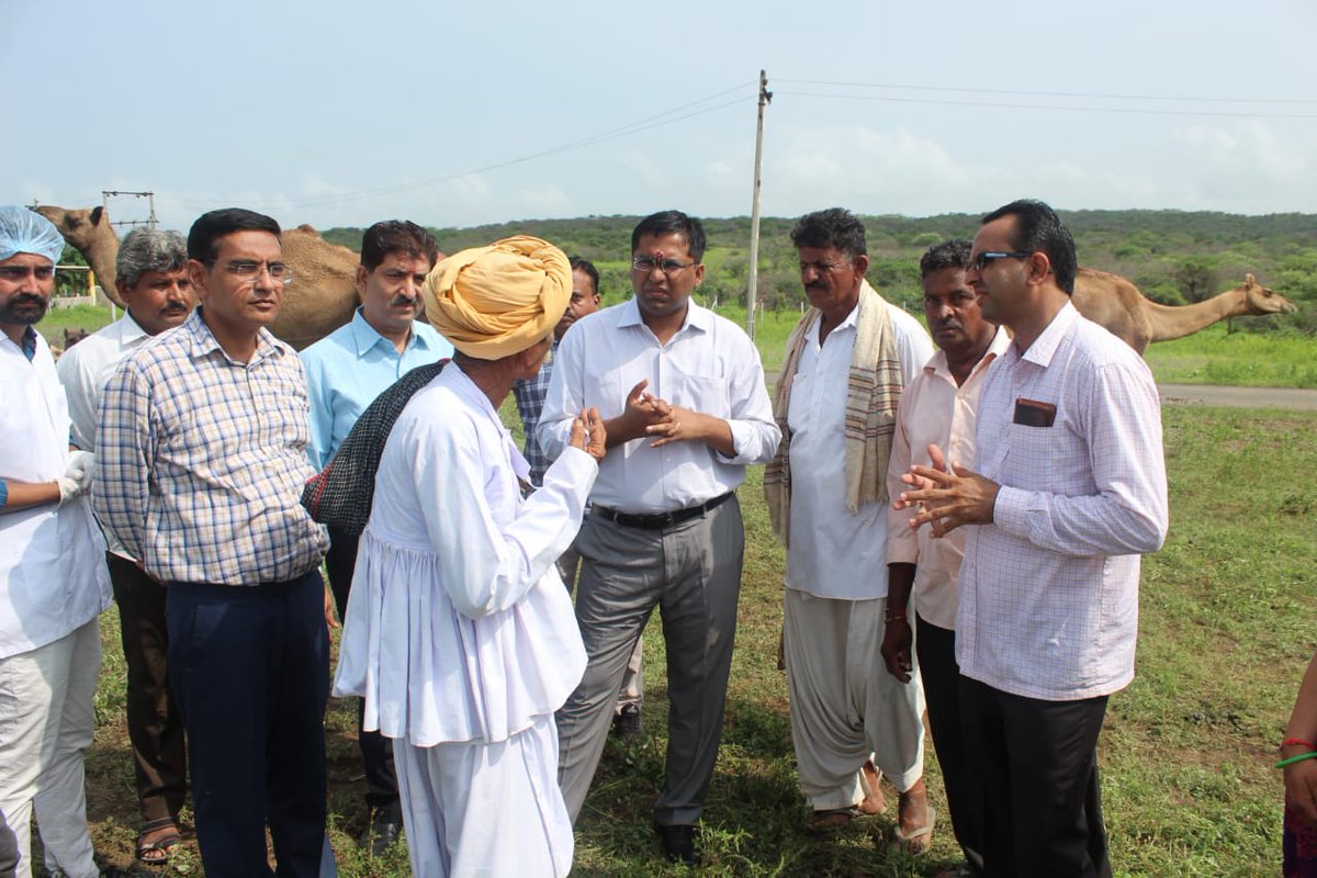 ભુજ તા.ના સણોસરા ગ્રા.પં.નાસહયોગથી ઊંટમાટે ખાજી–ફિટોડા વિરોધી સારવારકેમ્પ રાખેલ.જેમાં ૬૪૮ જેટલા ઊંટ, ૧૮૦૦ઘેટાબકરાને કૃમિનાશક સારવાર તથા રોગપરિક્ષણ અર્થે ૨૦૦થી વધુ નમુના એકત્રિત કરવામાં આવ્યા.જી.પં.દ્વારા યોજાયેલ આકેમ્પમાં પશુપાલન,ગ્રા.પં.ટીમની કામગીરી પશુપાલકો માટે ઉપયોગી નીવડશે.