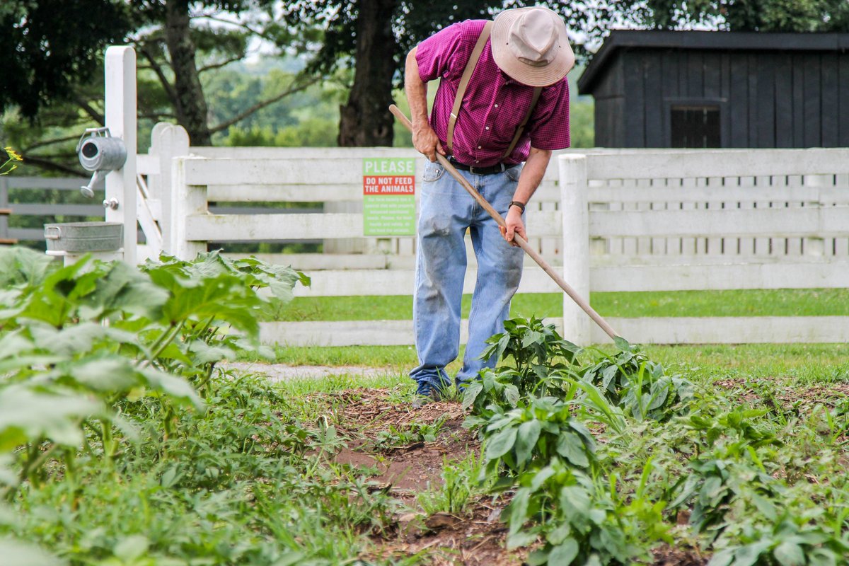 shakervillageky's tweet photo. "Dust on your garments & moisture on your brow brings neither shame nor disgrace. Better to soil your hands than your character." - Shaker Brother Daniel Orcutt, Enfield, CT.
#ThursdayThoughts #ShakerVillageKy #VillageatWork #ThursdayWisdom #HardWork #Integrity #HonestWork https://t.co/32kqS5zgQn