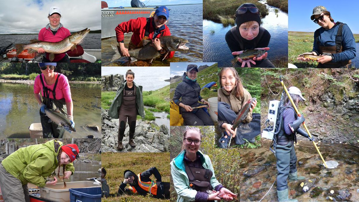 Meet the many outstanding #fisHER #womeninfisheries from @Concordia! Making the world a better place for fish. Coming to a govt agency, NGO, university and/or indigenous community near you!

@ella_bowles @AnglerEli @_shannon_clarke @BernosThais @DanieRae10 @zastavniouk @kiamarin