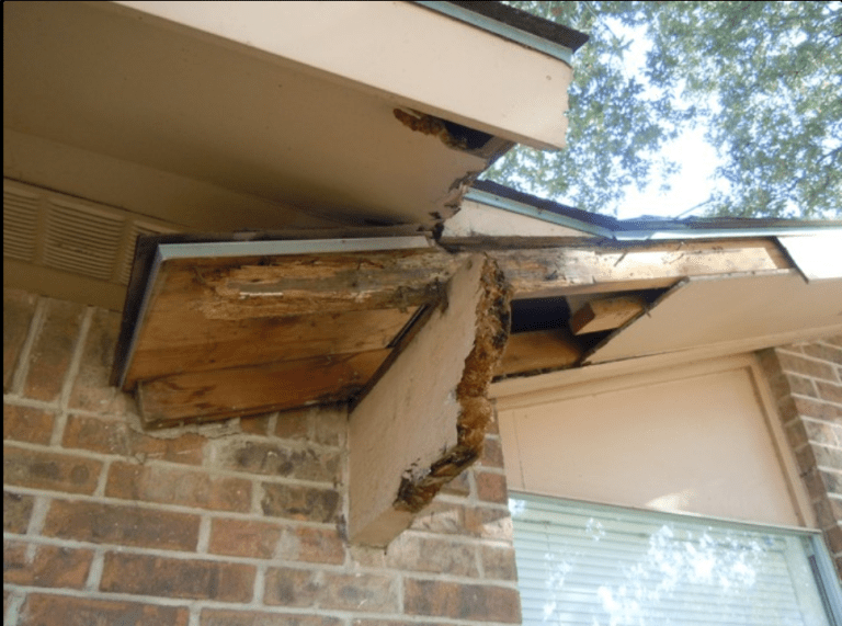 DrToddShupe's tweet photo. "I use a very “high tech” method of determining soffit and facia decay damage. Read my blog post from https://t.co/5KCUZgwqHw.  Click here: https://t.co/zHFn7elvRQ 
Rotten Soffit and Facia Problems – Consider Borates.  #RottenSoffit #Woodexpert #BatonRougeLouisiana #FaciaProblems https://t.co/RqdWVZSTFf