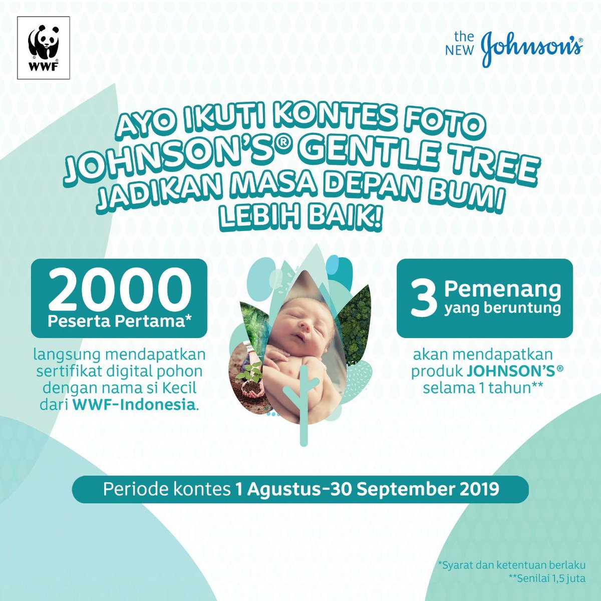 WWF_ID's tweet image. #WWFID &amp;amp; JOHNSON’S® menghadirkan #JohnsonsGentleTree. Lakukan 3 langkah mudah untuk ikutan kontes fotonya di bit.ly/JohnsonGentleT… dan dapatkan sertifikat digital pohon🌱 dengan nama si kecil.