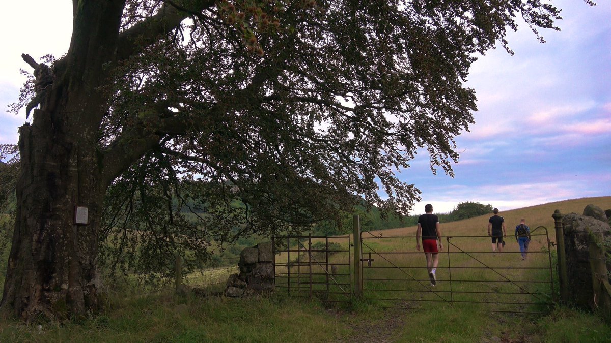_ourtour's tweet photo. Found this memorial attached to a tree down at the reservoir. In memory of Paul Chamberlain. #memorial #inmemory #memorialplaque #remembrance #remembrances #rip #restinpeace #norththirdreservoir #scotland #scottish #gonebutnotforgotten #nicefind #exploring #exploringscotland https://t.co/OpGLLq2fiv