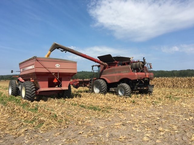ArmorSeed's tweet photo. Cutting an @ArmorSeed corn plot on a beautiful day on Hueckel Farms in Essex, Missouri. Grateful for a great day to do it! #ArmorCorn #harvest19 #startstrong https://t.co/smrnaqm57F