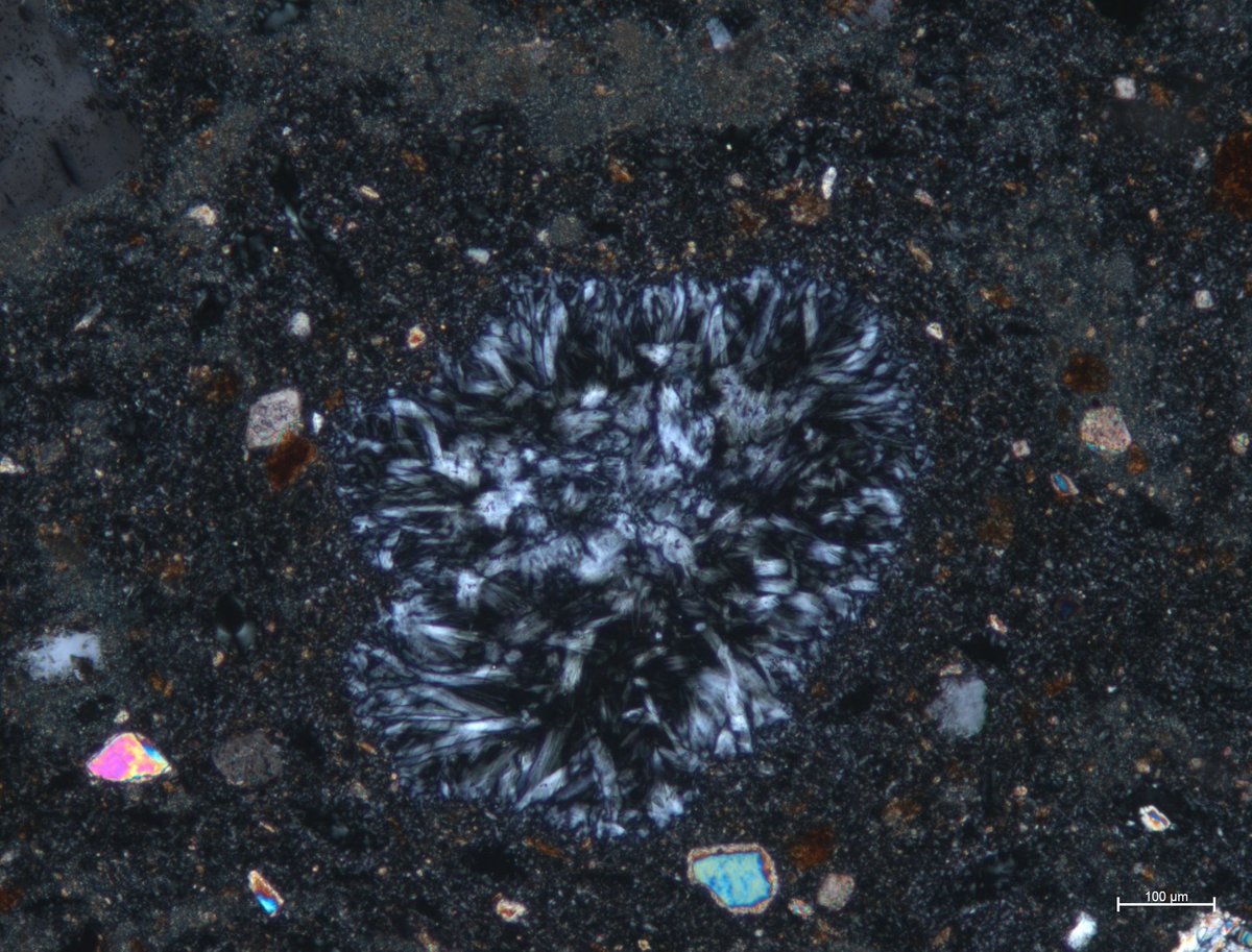 RSKPetrography's tweet photo. Was surprised to see such a massive growth of gypsum in this render sample. We were warned it was possible, but didn't expect this much. #ThinSectionThursday #HistoricRender https://t.co/JSgjR9cbxB