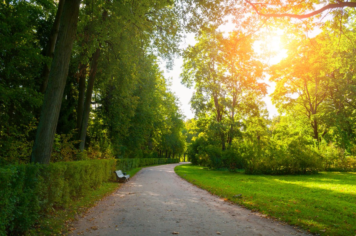 Talking about mental health, suicide and hope 🌈 - mailchi.mp/thecentercouns…
