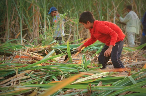 ChildFund Advocates tweet media