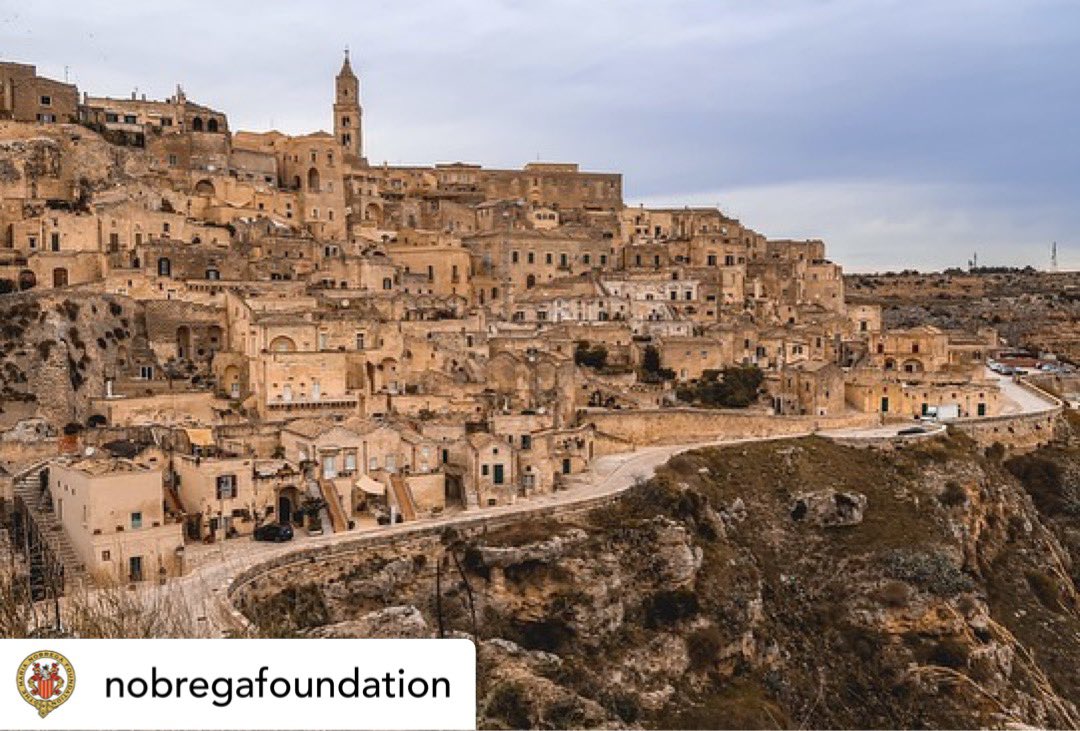 The Maria Nobrega Foundation tweet media