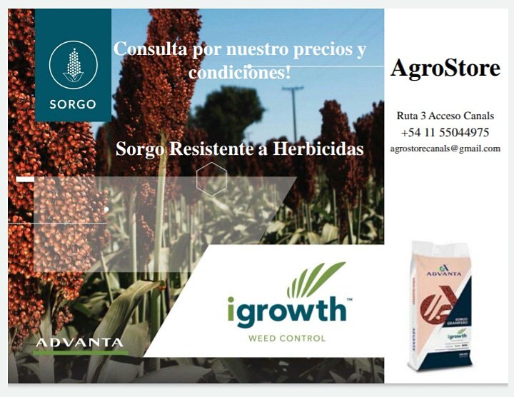 AgroStore1's tweet image. Consultanos y cotizá!
Trabajamos con toda la tecnología y genética de @advantaseedsarg 
.
#sorgo #igrowth #AgroStore #Agronomia #Canals #ingenierosagronomos #advanta