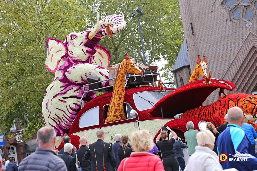 corsokompas's tweet photo. Nog even genieten van corso 2019... https://t.co/lfEyzaAyNL