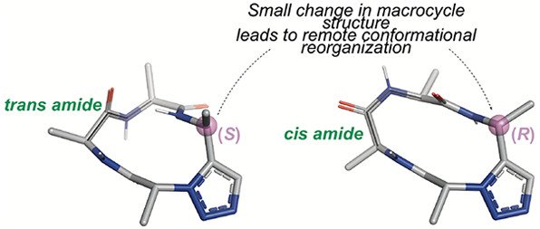 ACSChemRev's tweet photo. [Review] "Conformational Control of Macrocycles by Remote Structural Modification" https://t.co/GQCWaAidw4 #FocusReview #Thematics @chemuoft https://t.co/7x9zZBFuKc